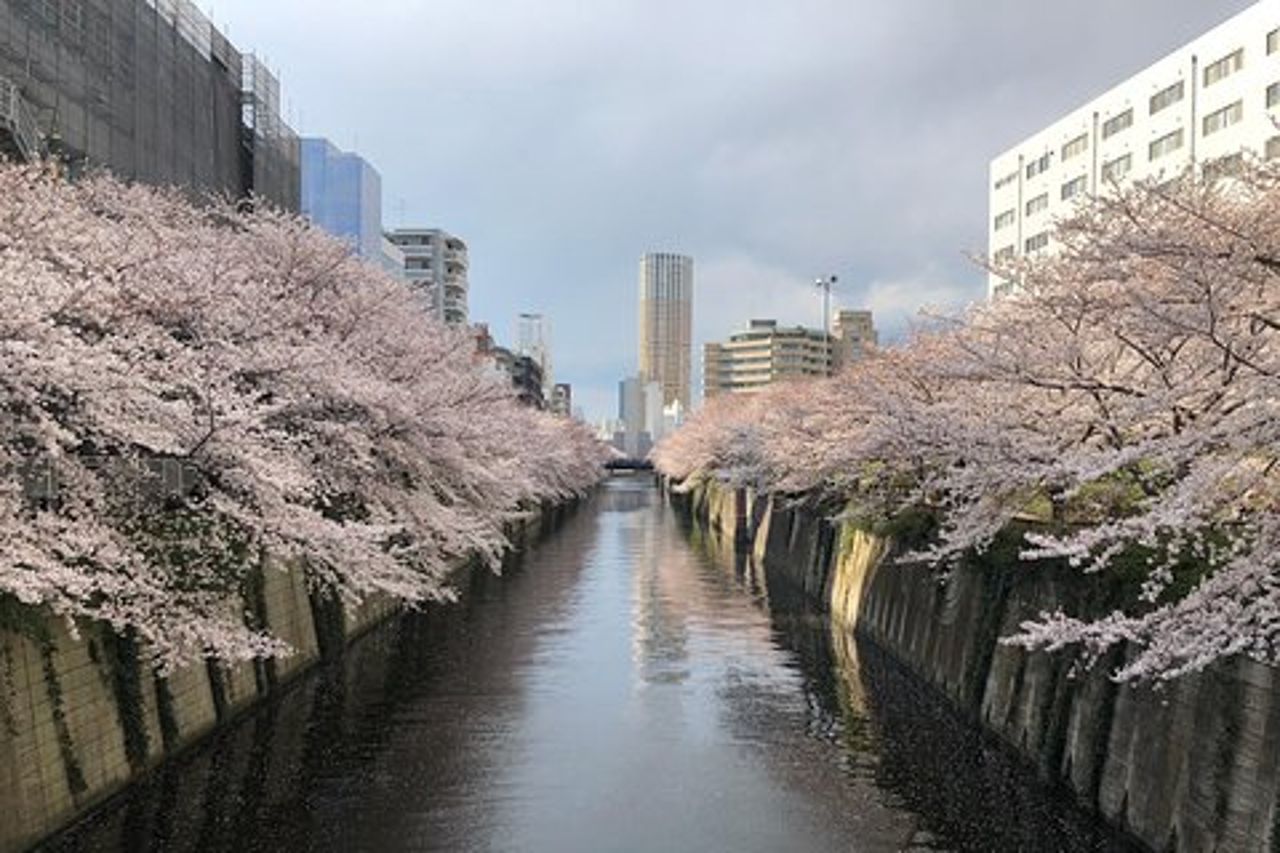 Un giorno da sogno e delizioso a Tokyo