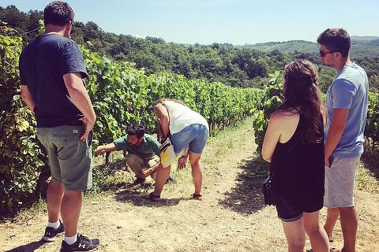Tour privato del vino del Chianti