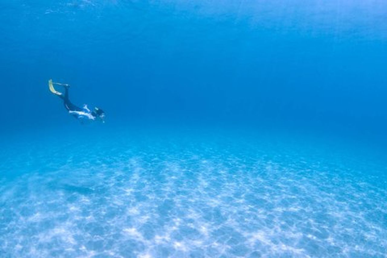 Nuota con le tartarughe marine a Yakushima!Escursione di snorkeling!