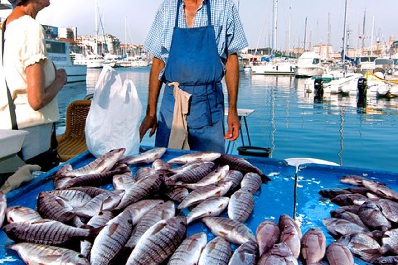 Tour del mercato per piccoli gruppi e lezione di cucina a Manfredonia