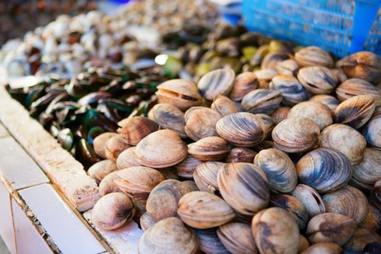 Tour del mercato per piccoli gruppi e lezione di cucina a Marsala
