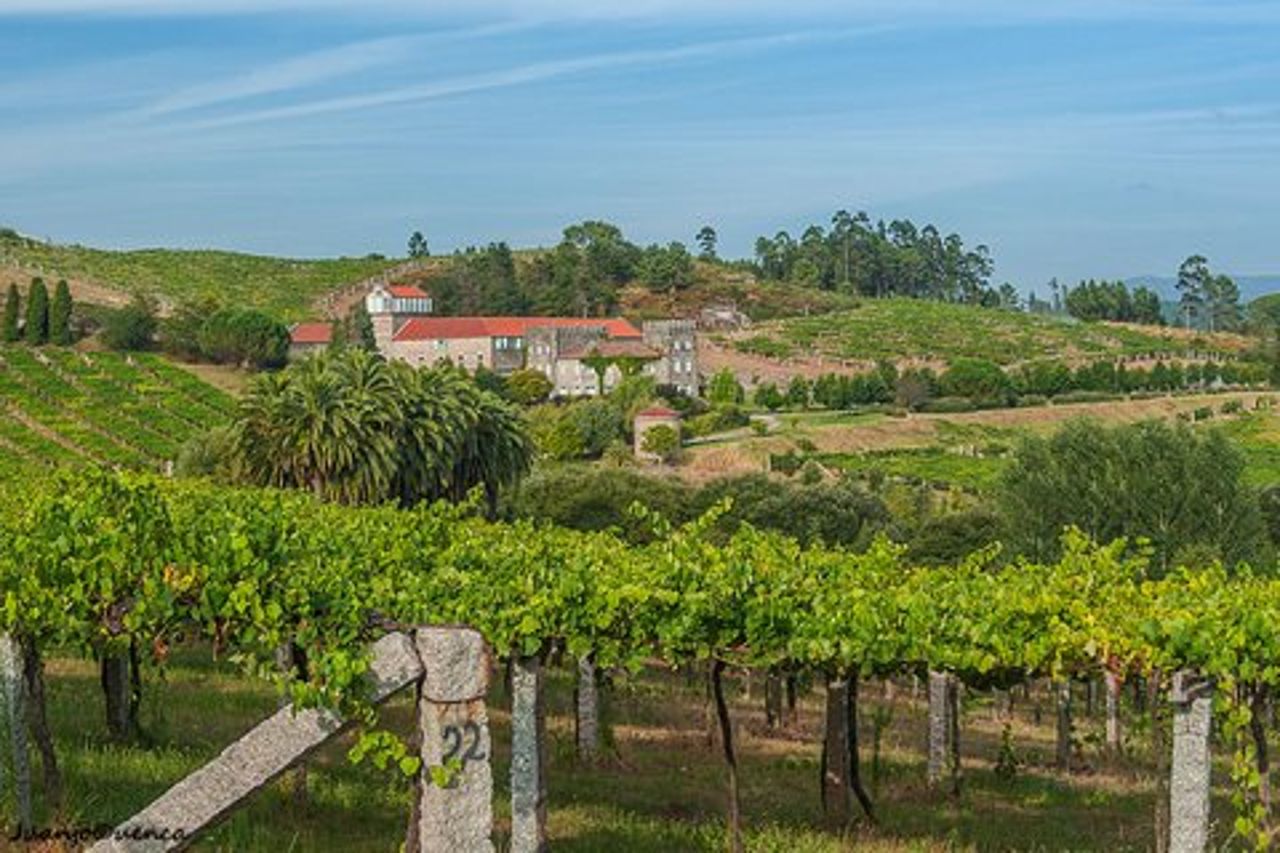 Tour privato del vino di Albariño da Santiago de Compostela