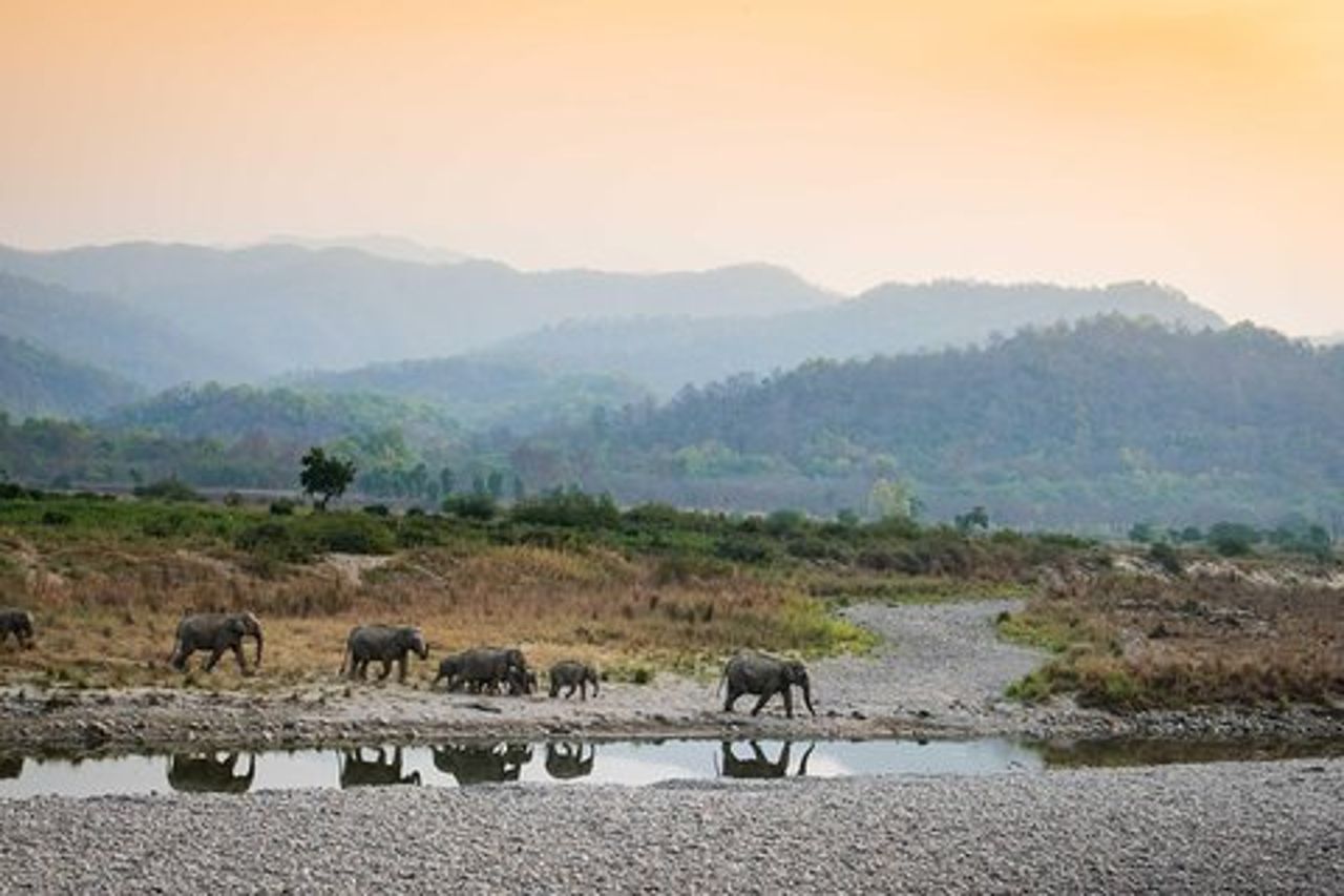 2N Jim Corbett National Park (Dhikala Zone)