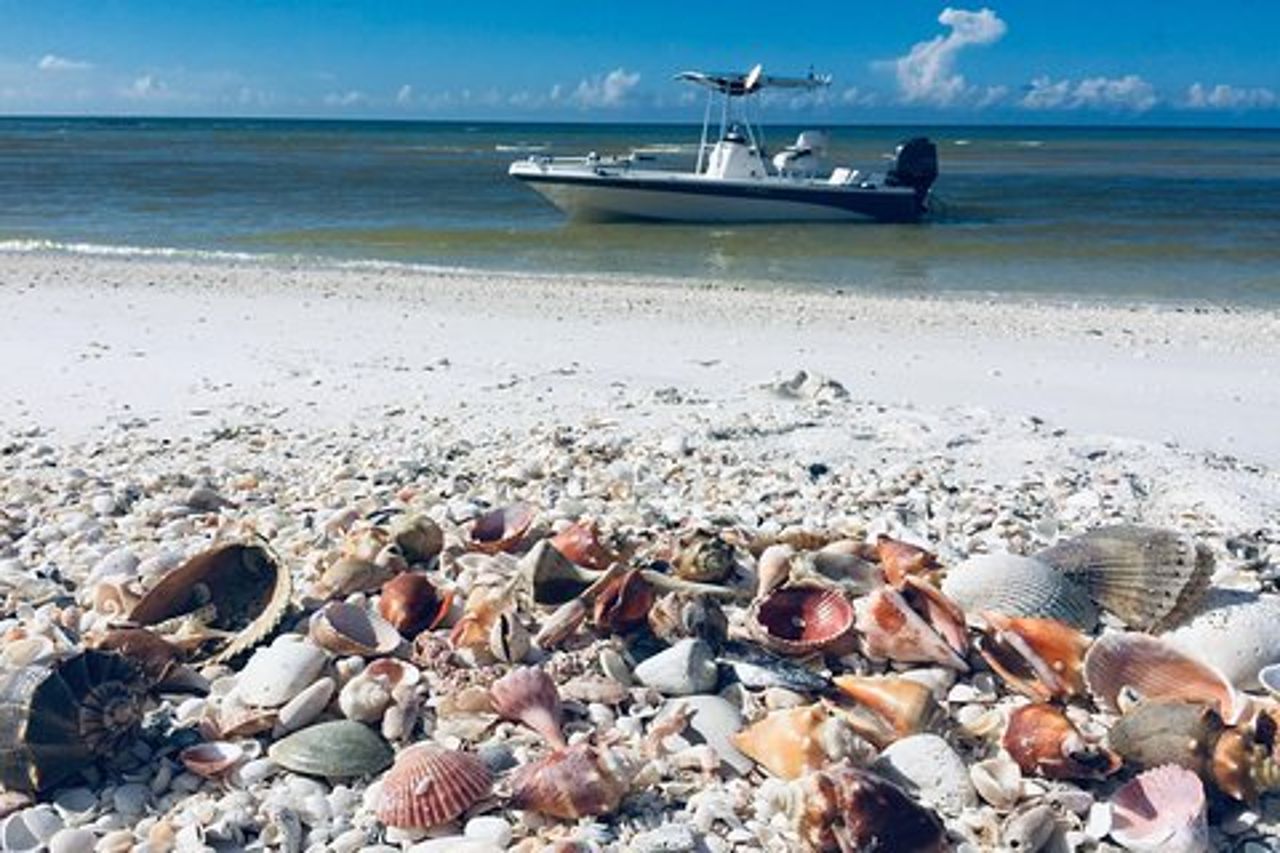 Tour di bombardamento - Fort Myers Beach / Napoli