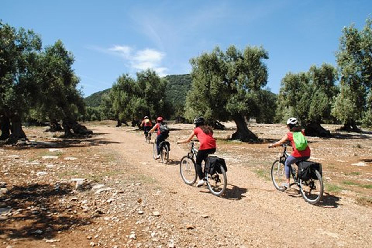 Bike oil tour in Monopoli