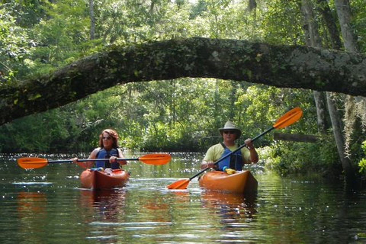 Gita in kayak nel Lofton Creek con guida professionale