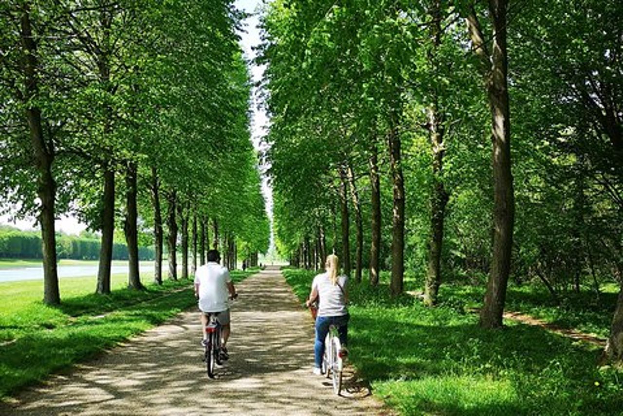 Tour in bicicletta di Versailles con mercato, giardini e tour guidato del palazzo