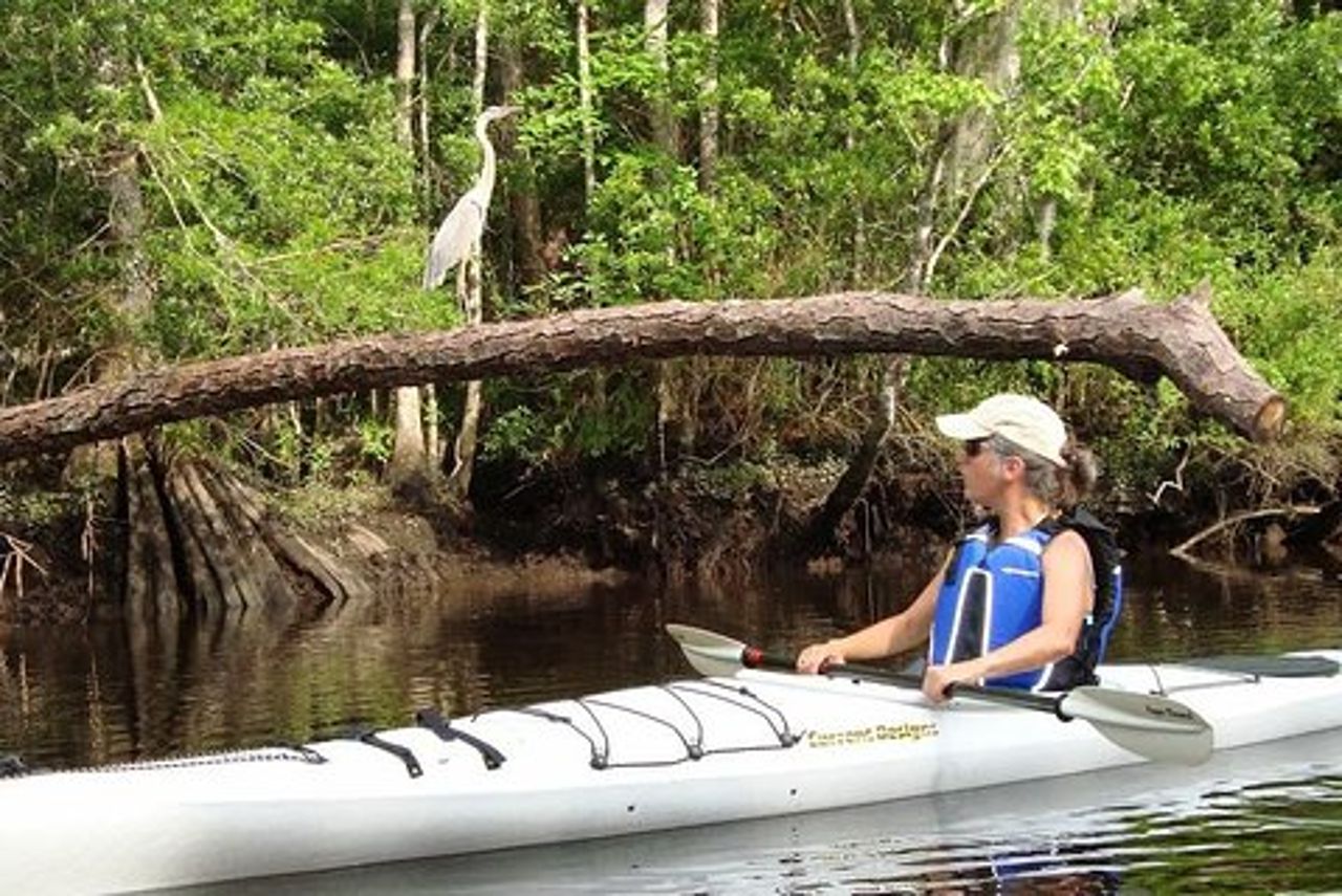 Noleggio di kayak nell'area dell'isola di Amelia su Lofton Creek con Adventures Up The Creek