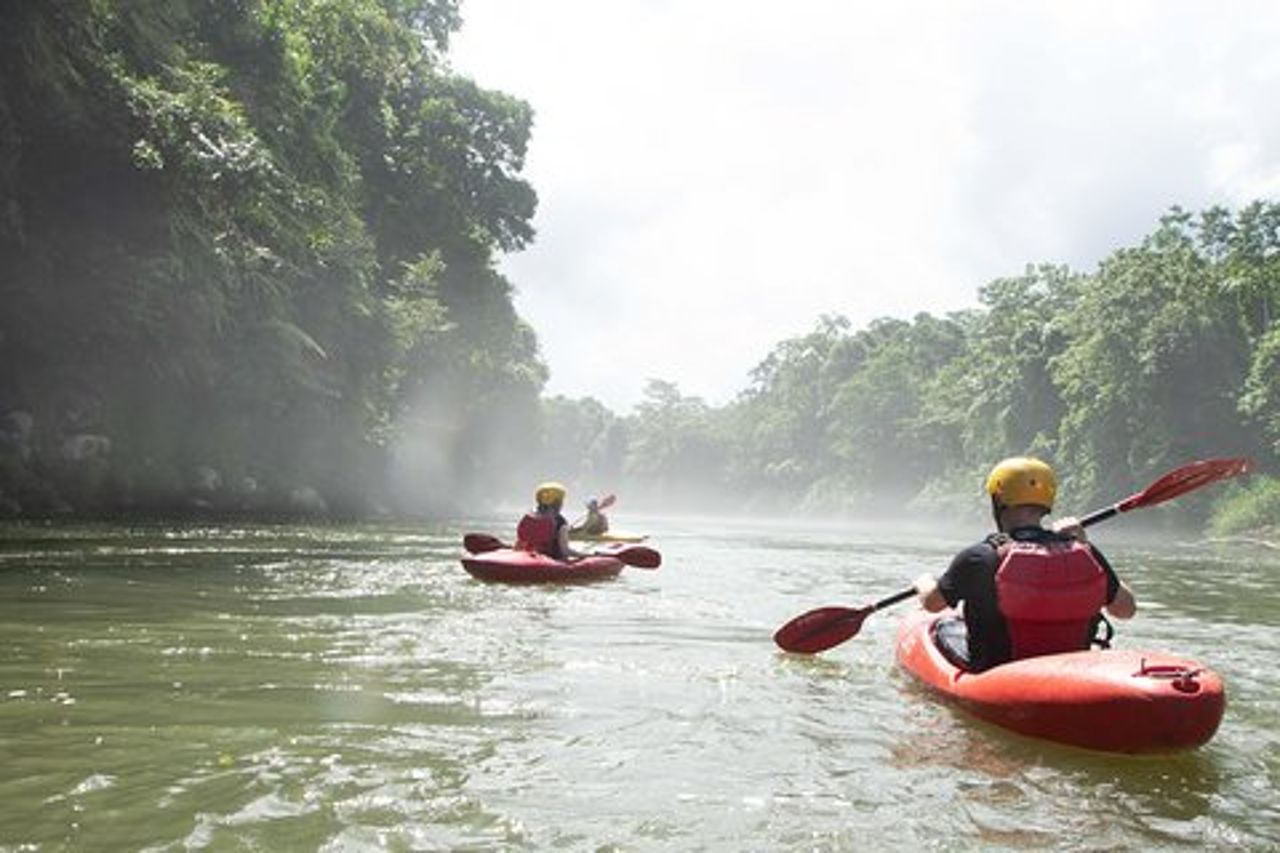Tour in kayak nella giungla del fiume Sarapiquí