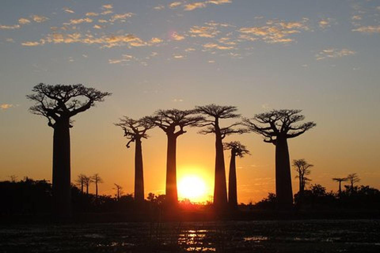 Madagascar 7 giorni Baobabs and Lemurs Tour
