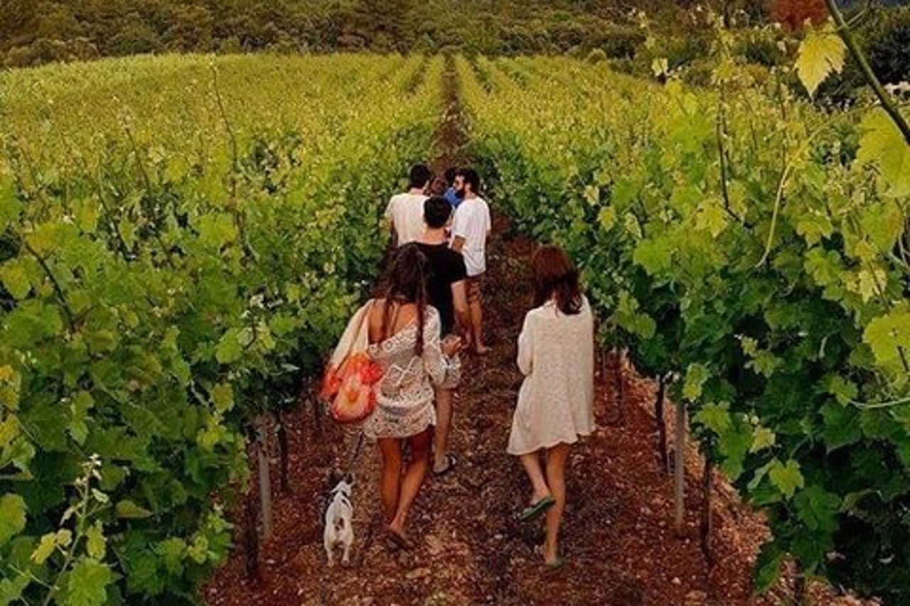 Degustazione di vini a Vieste
