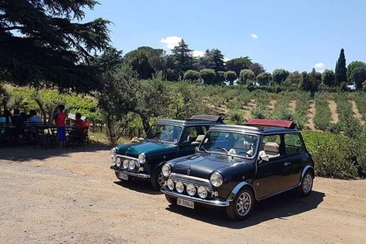 Tour di aziende vinicole ed attrazioni antiche in cabriolet ai Castelli Romani con degustazione di vini e pranzo