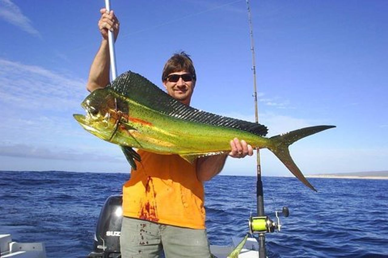 Escursione di pesca all-inclusive a Cabo San Lucas