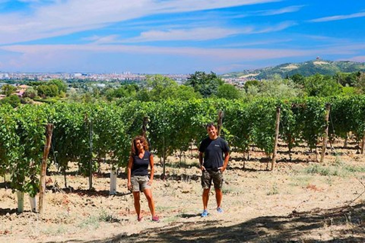 Winetour e degustazione sulle colline bolognesi, guidati dal viticoltore