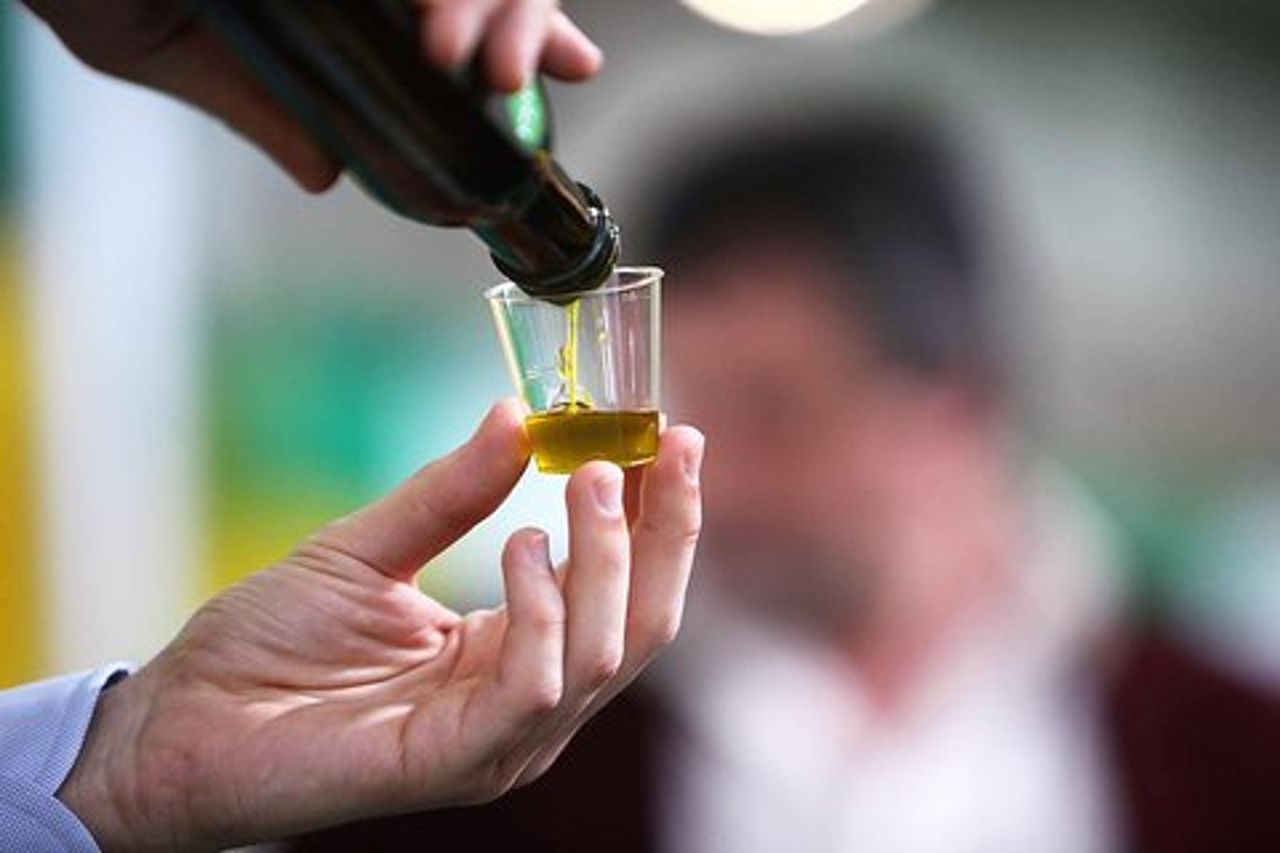 Tour dell'Olio Extravergine di Oliva in Toscana