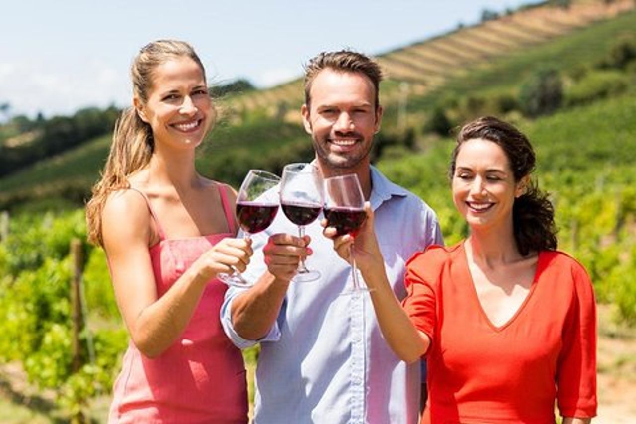 Radda in Chianti : Wine Tasting Tour con pranzo in Cantina