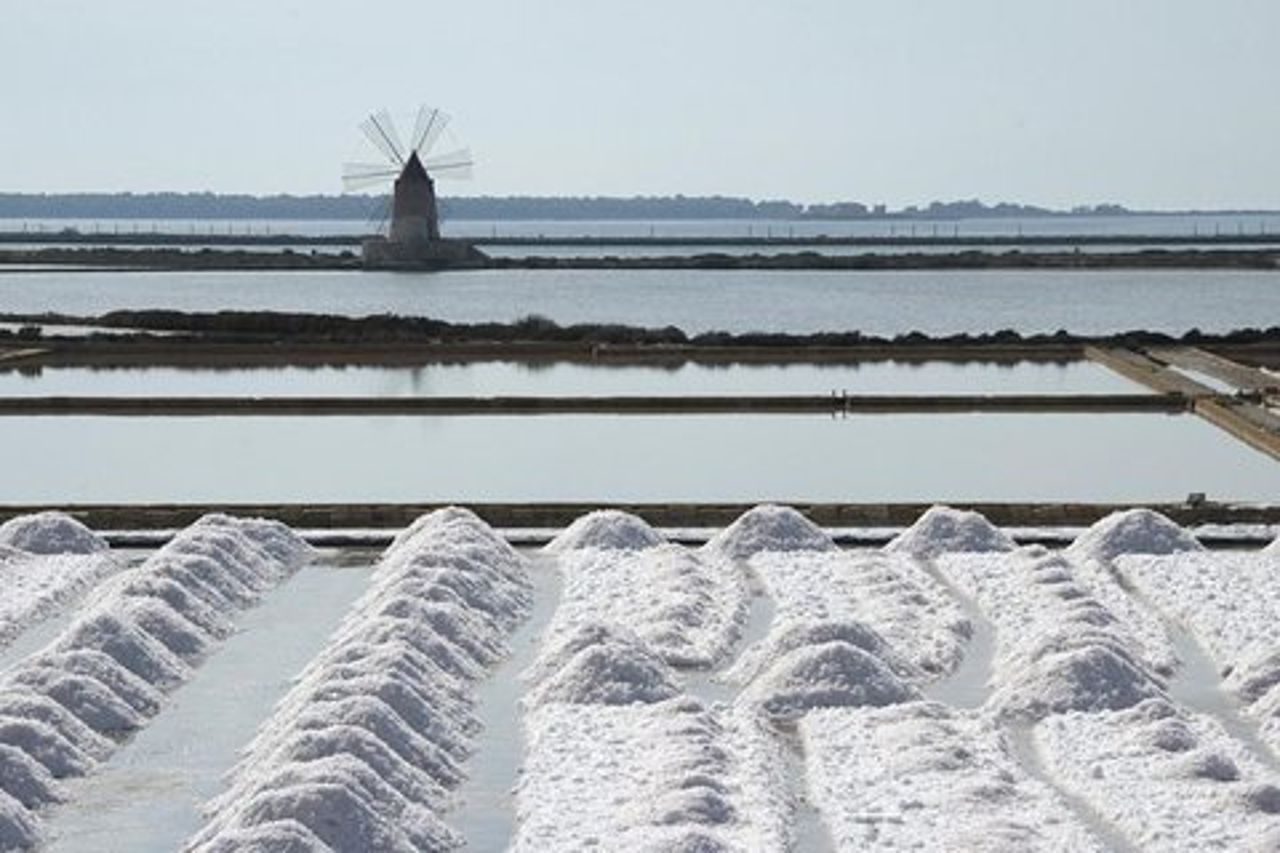 Tour Delle Saline Al Pomeriggio