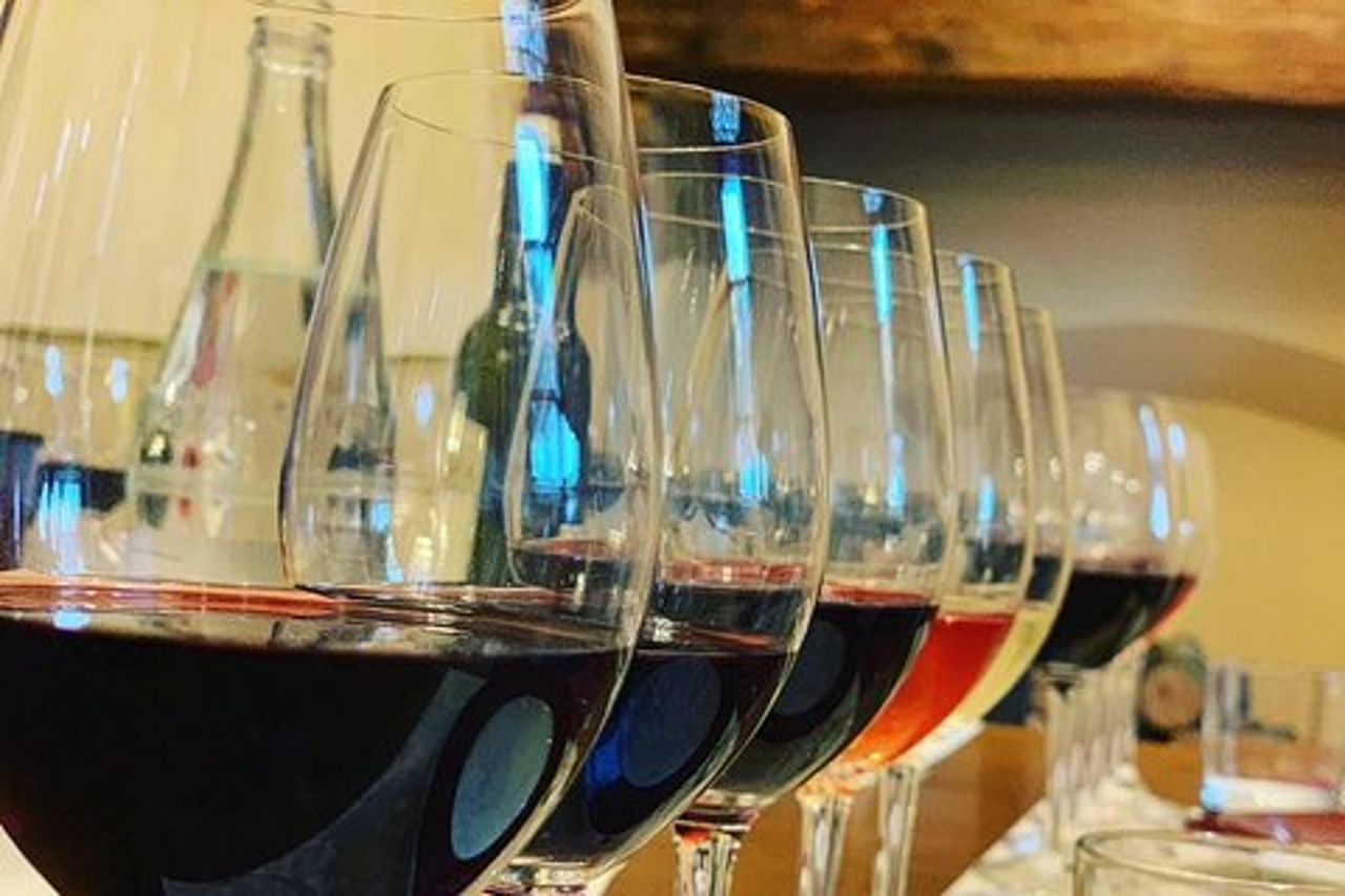 Tour guidato in cantina con le migliori degustazioni e pranzo a Bolgheri con guida dei vini locali