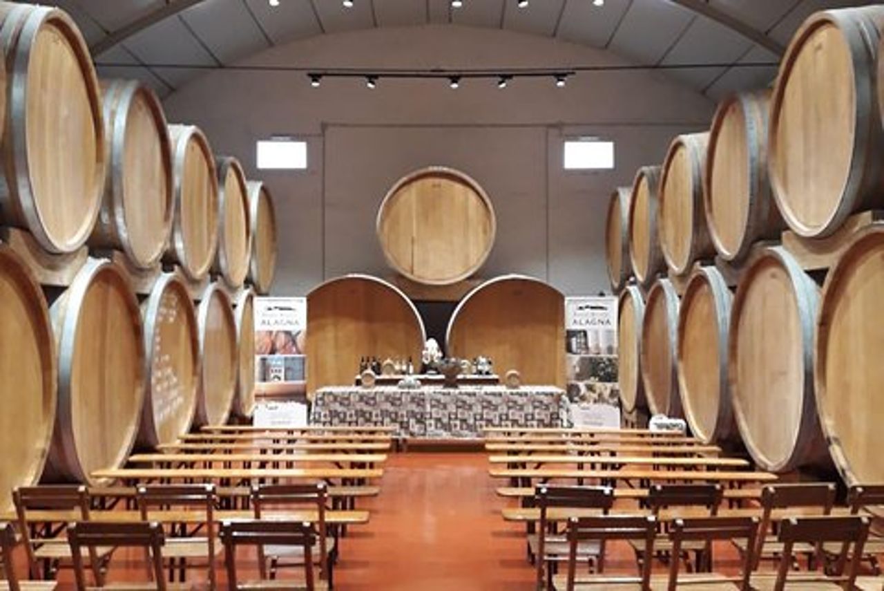 Degustazione in cantina storica di Marsala