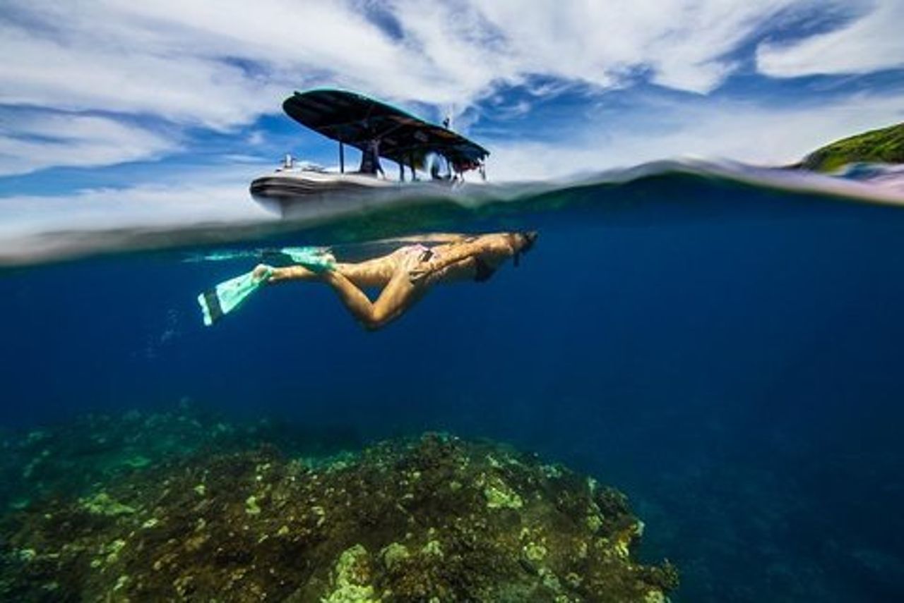 Boccaglio mattutino premium sulla costa di Kona