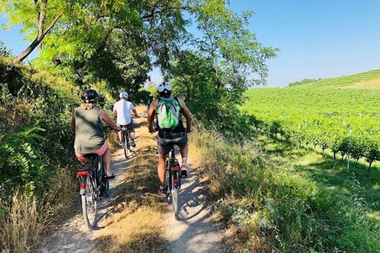 Goditi una degustazione di vini dopo un'escursione in bicicletta nella magia della campagna Toscana