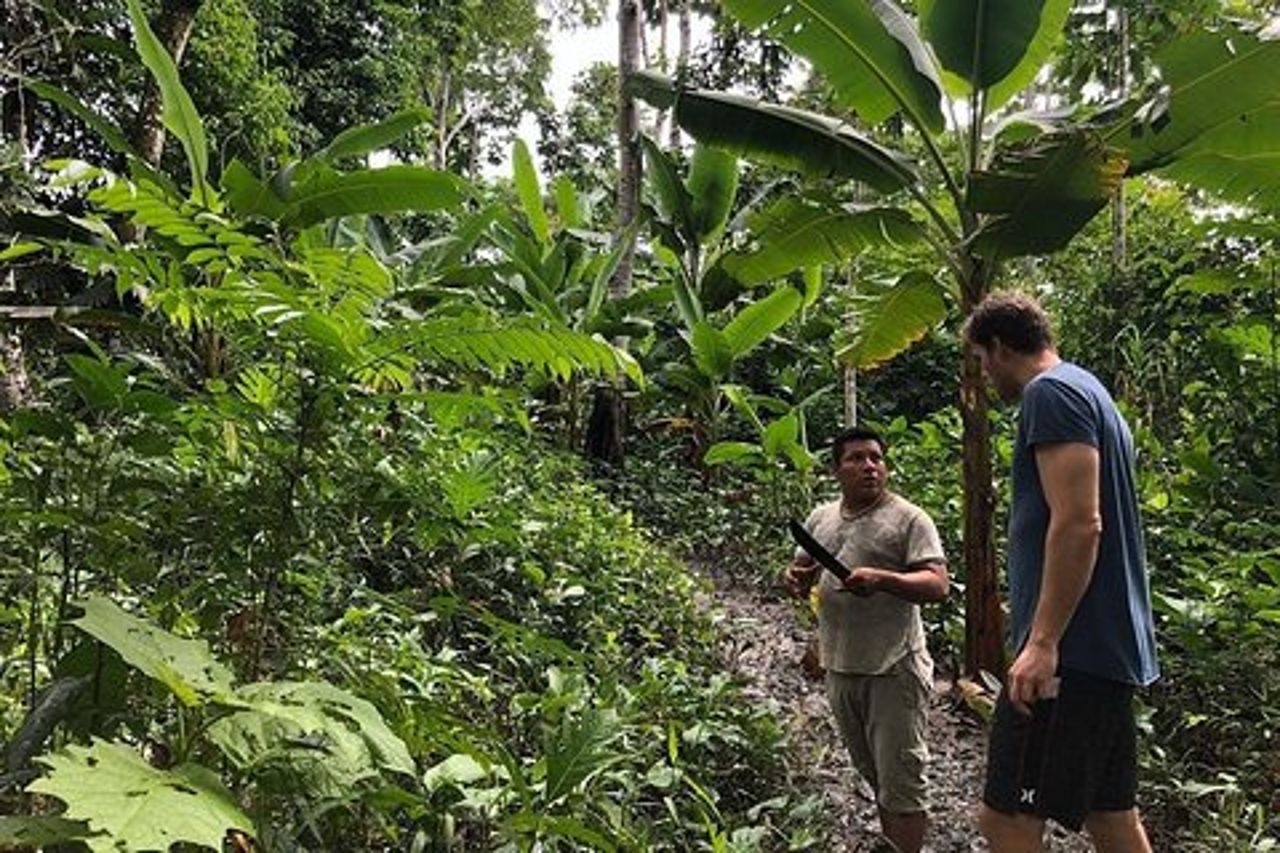 Guarigione, trattamento con piante medicinali "Green Amazon Amazon Expedition" 7 giorni