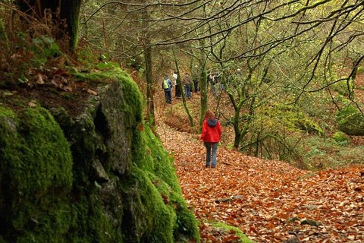 Area paesaggistica protetta del corno dell'ugello
