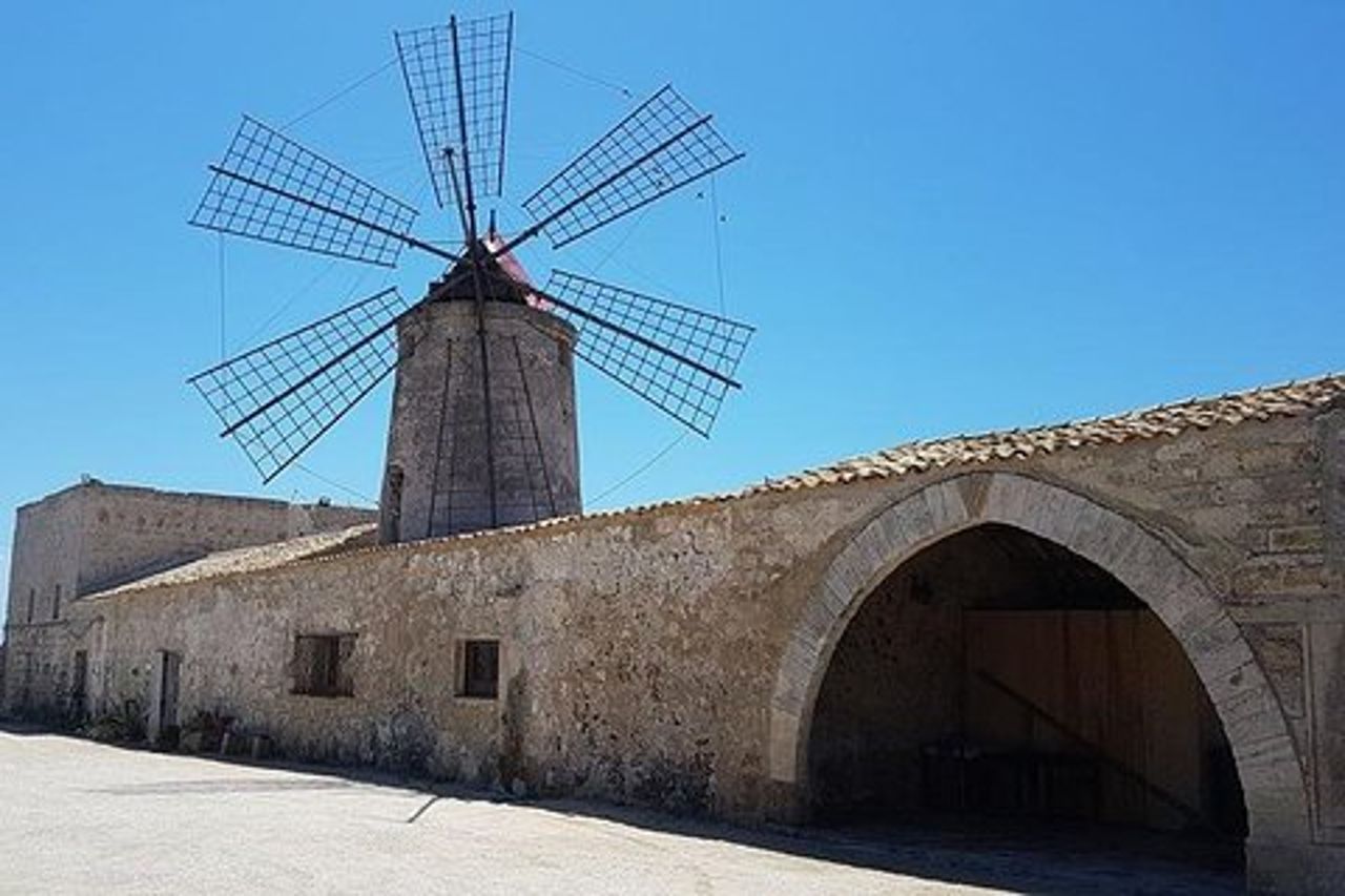 Tour privato alle saline di Trapani
