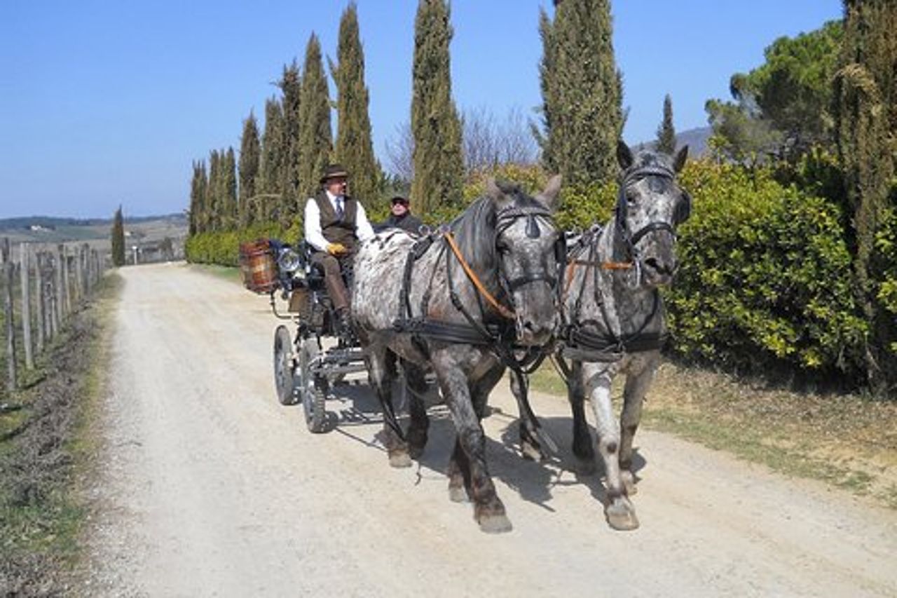 Giro in carrozza e pranzo in un ristorante tipico nel cuore del Chianti