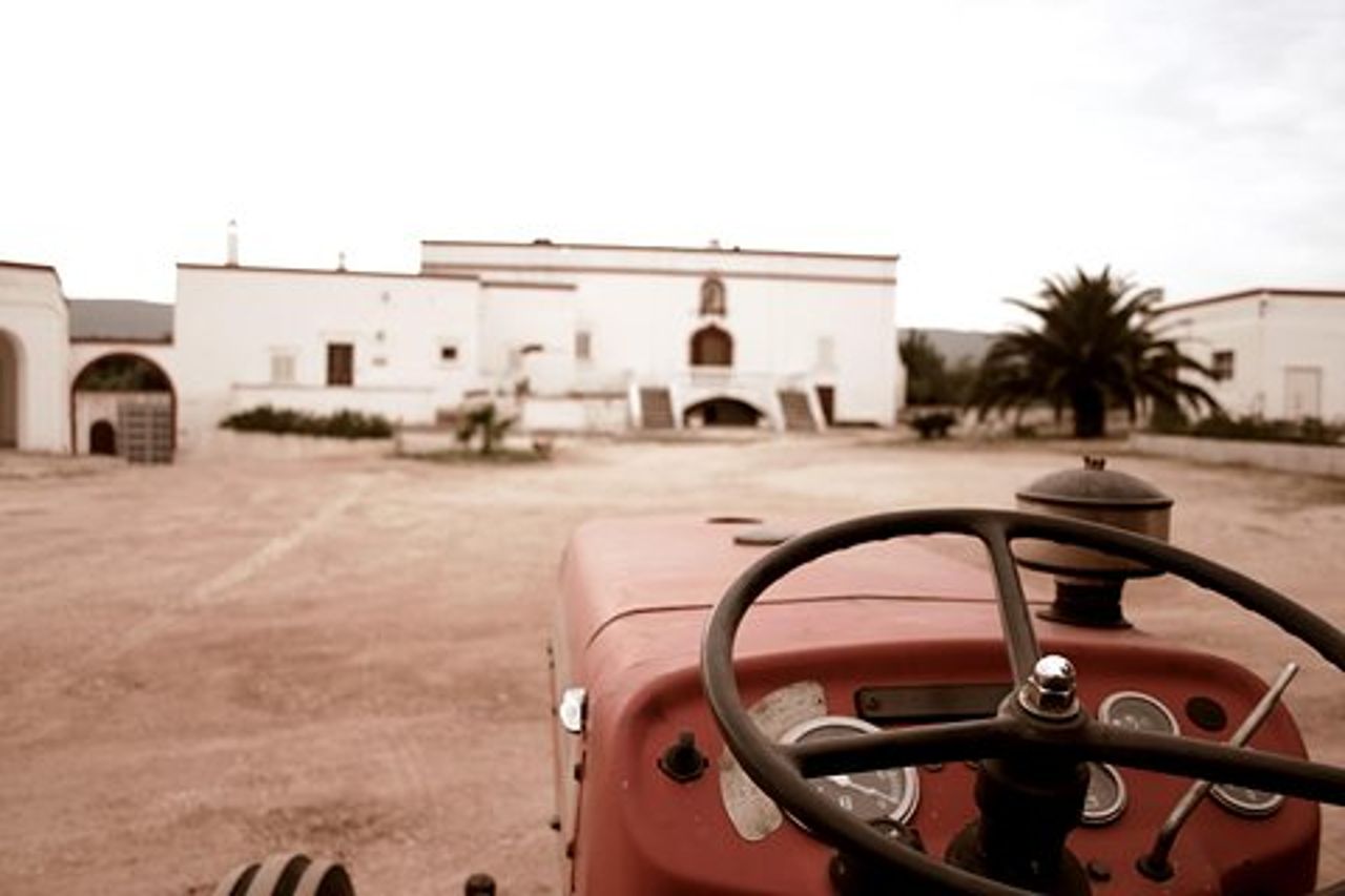 Extravergine Savoia Tour e degustazione di olio d'oliva - FASANO