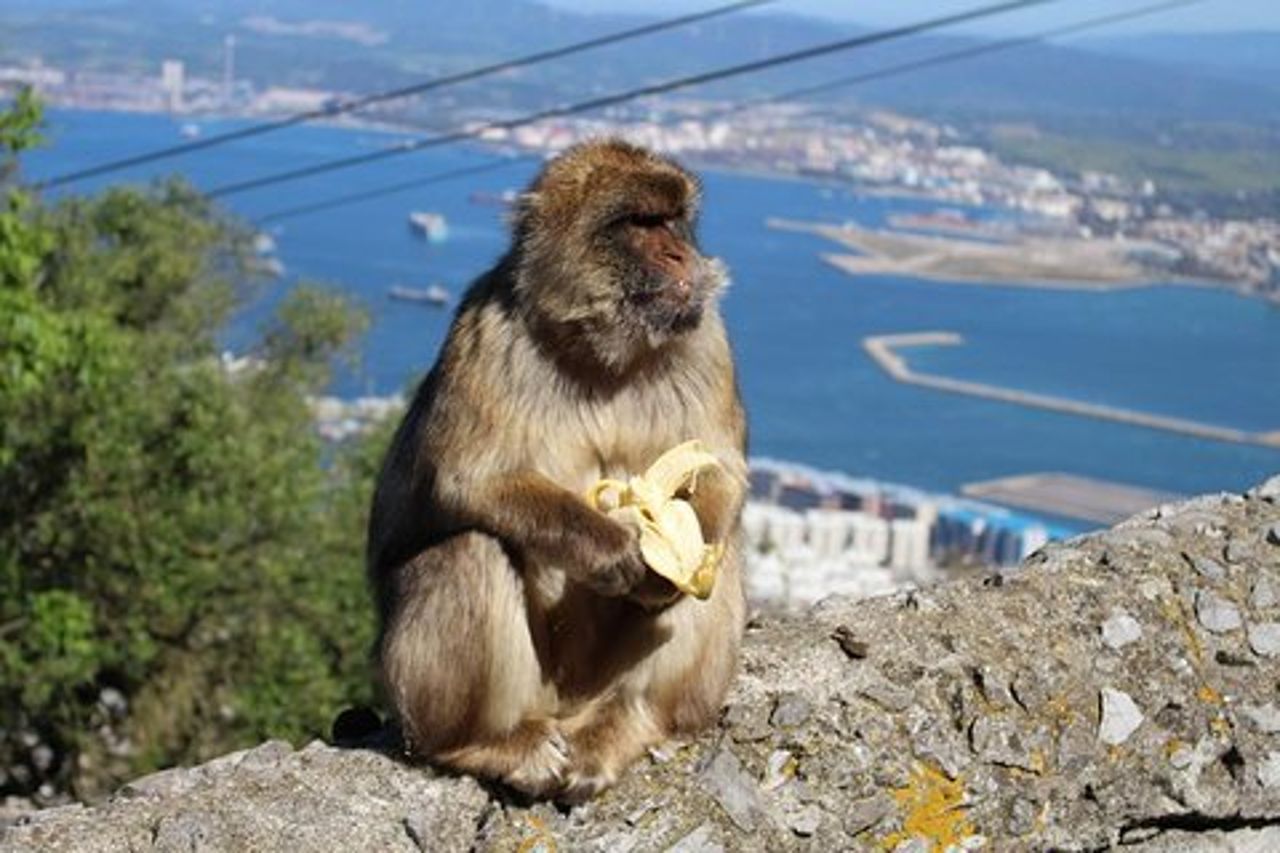 Gita giornaliera privata a Gibilterra da Malaga o Marbella
