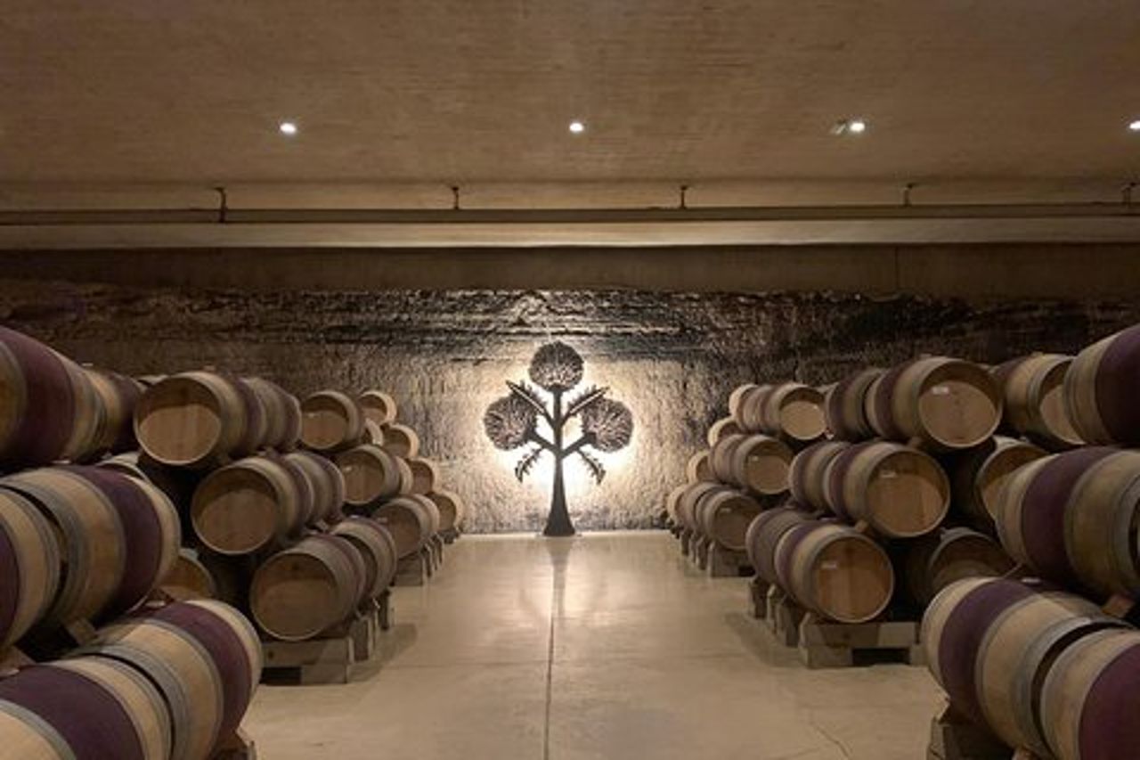 Gita di un giorno alle cantine e ai villaggi medievali della Rioja Alavesa