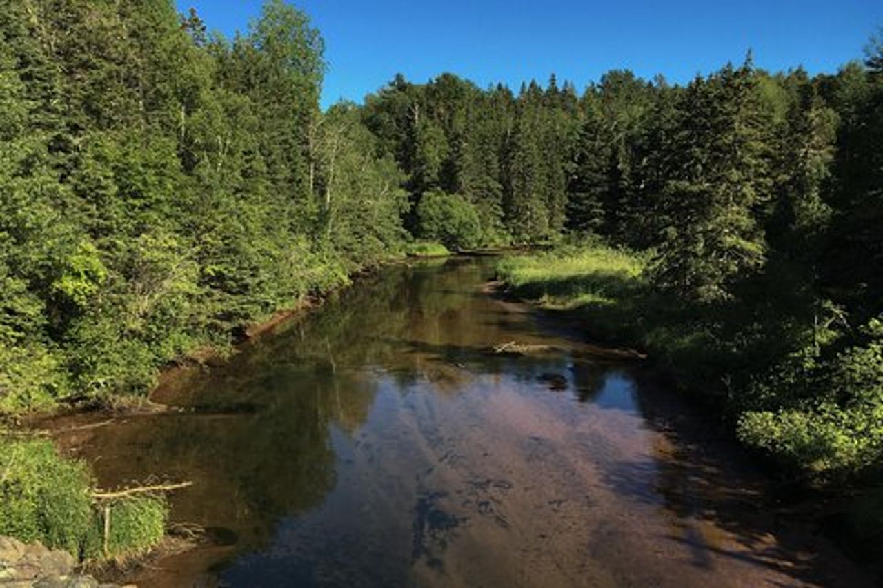 Esperienze guidate di pesca a mosca
