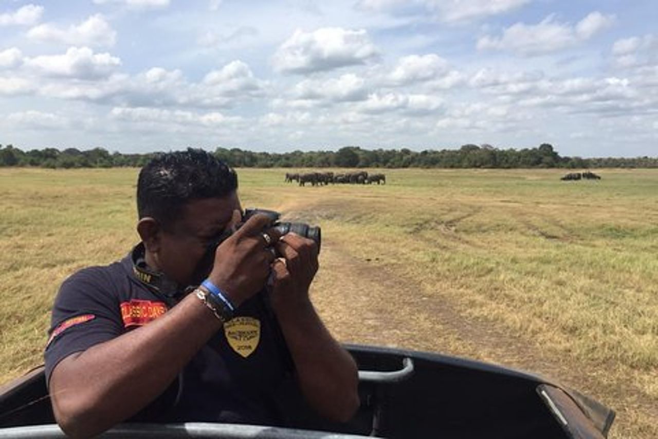 Safari in jeep di un'intera giornata al Parco nazionale Yala con pranzo