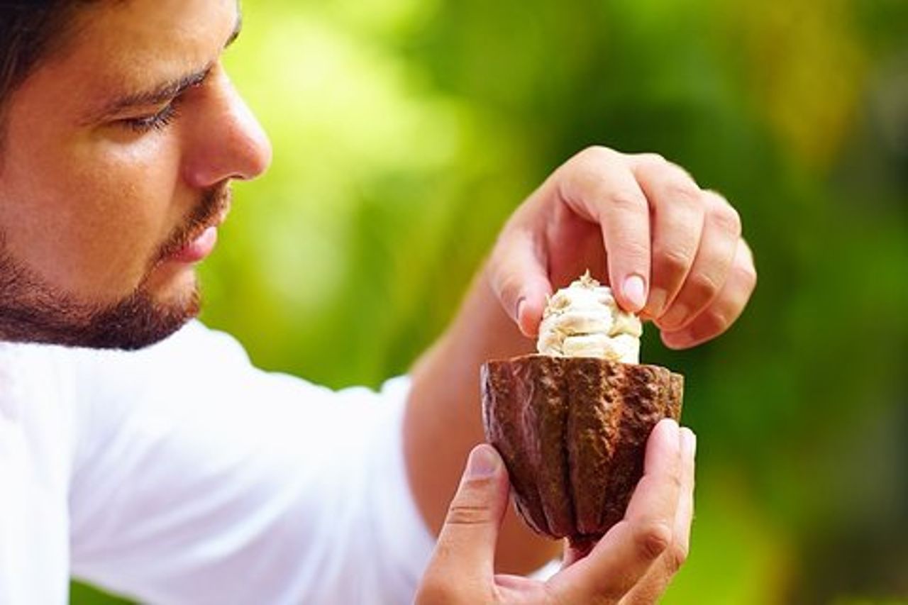 Workshop del cioccolato. Tour privato da San Jose