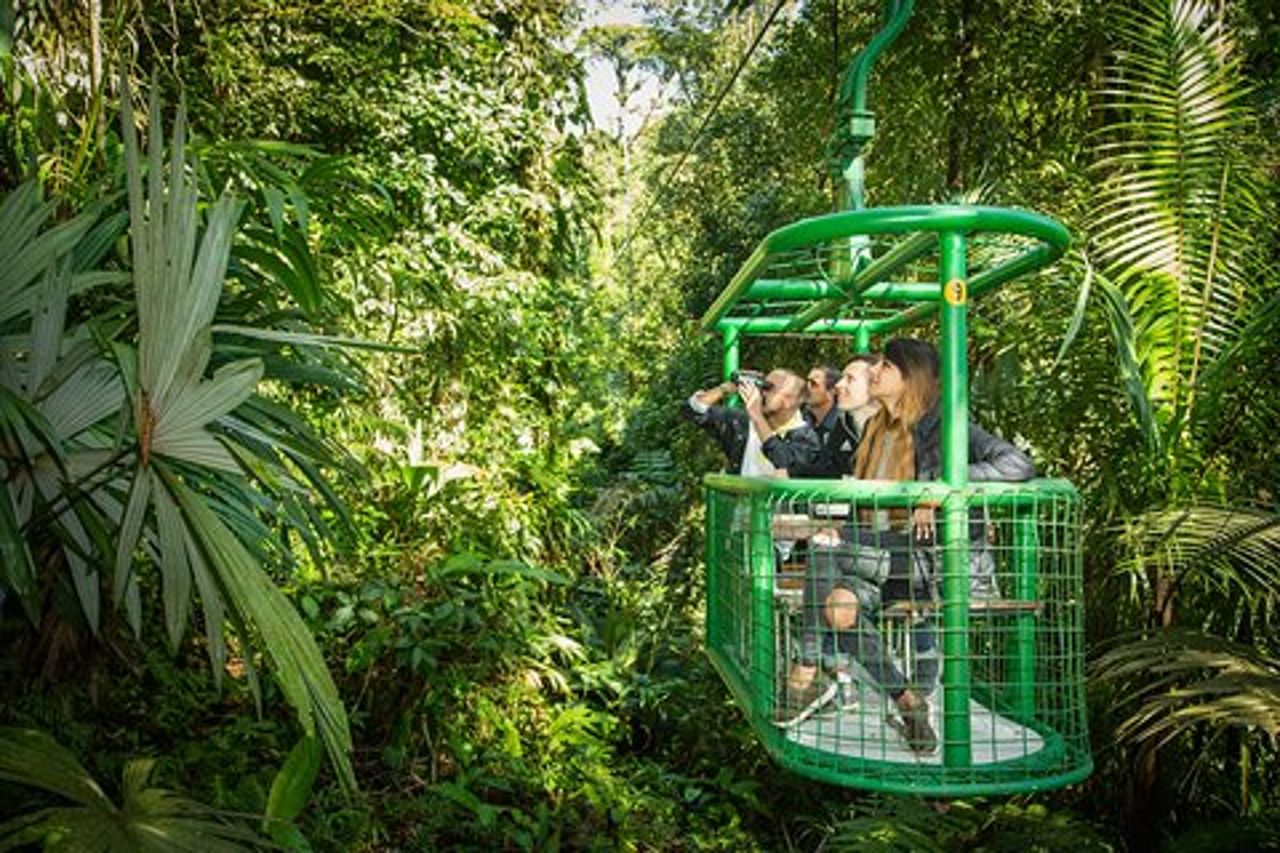 Tour privato del tram aereo della foresta pluviale da San Jose