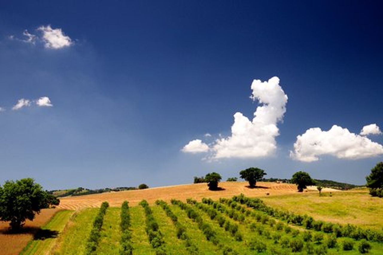 La Maremma