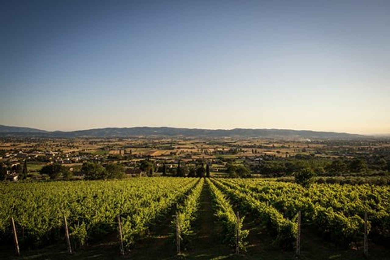 Degustazione all'Aria Aperta di Vini BIO con Vista!