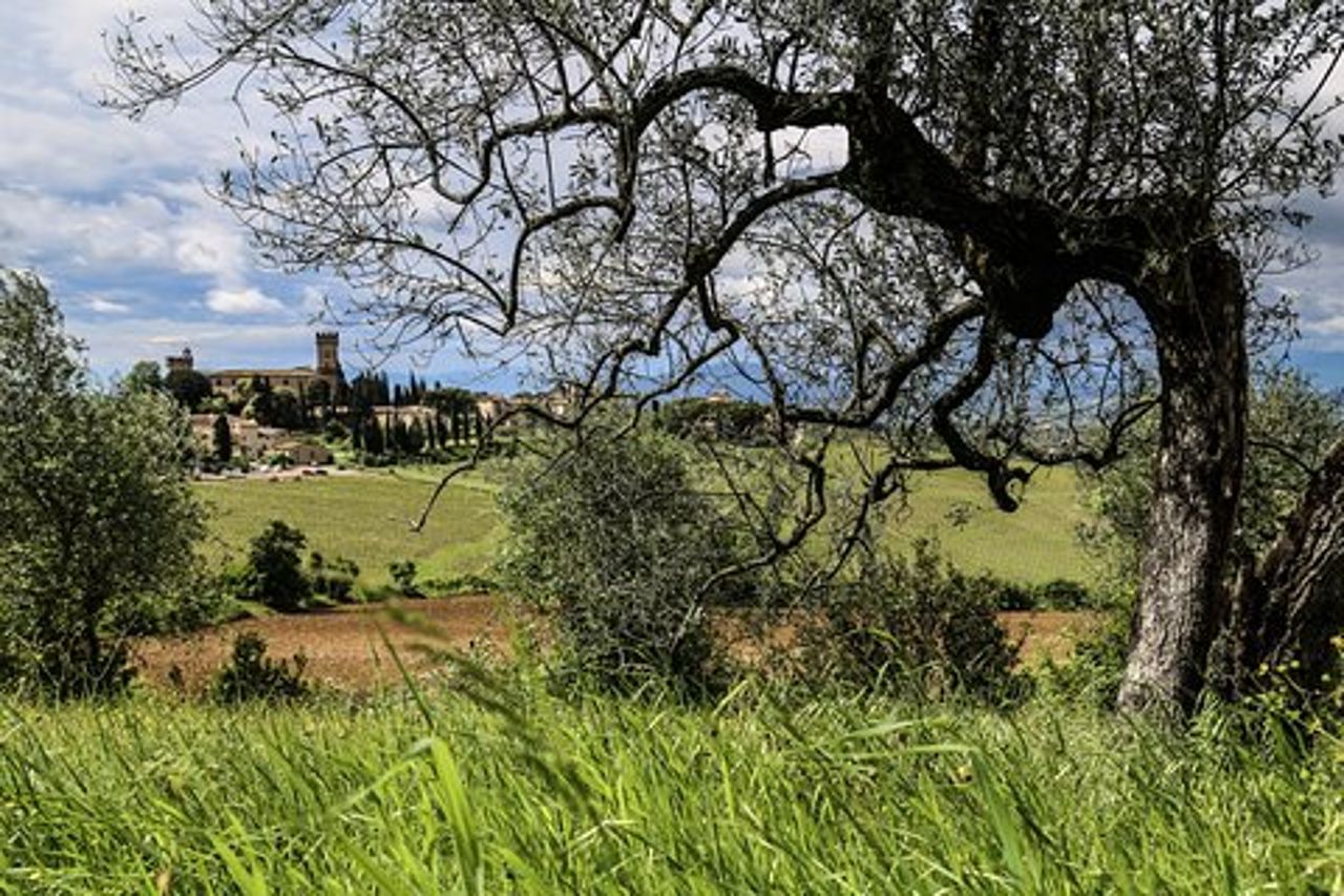 The Best of Chianti Classico E-bike tour