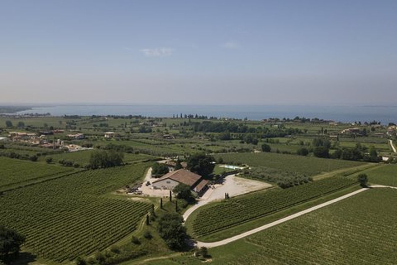 Visita e wine tasting a Tenuta La Cà