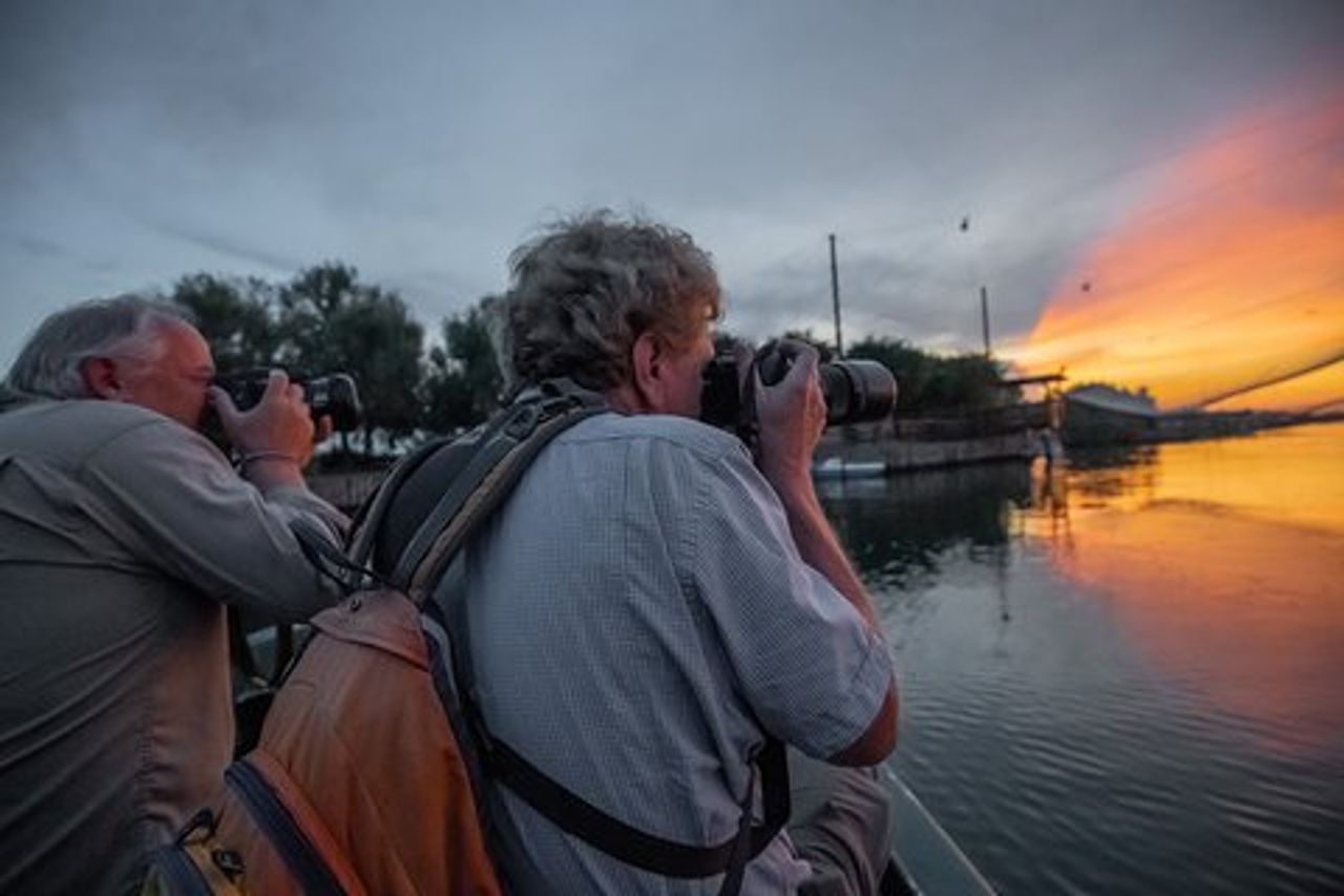 Birdwatching in Barca in Piccolo Gruppo nella Pialassa Baiona