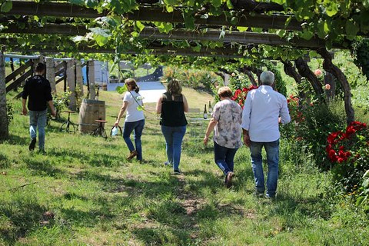 Visita guidata di Bodegas Granbazán