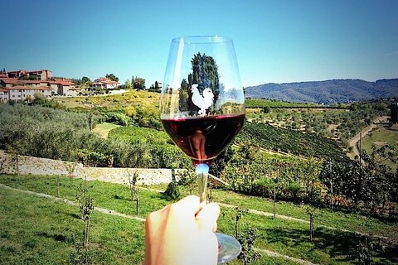 Escursione costiera di Livorno: Tour privato del vino nel Chianti e nella campagna toscana