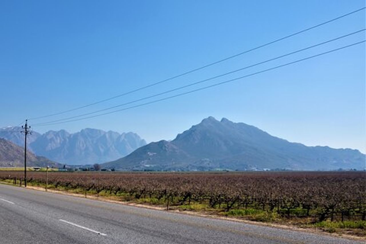 Tour privato: Cerere, Breede River Valley, Big Sky e Big 5 con vino