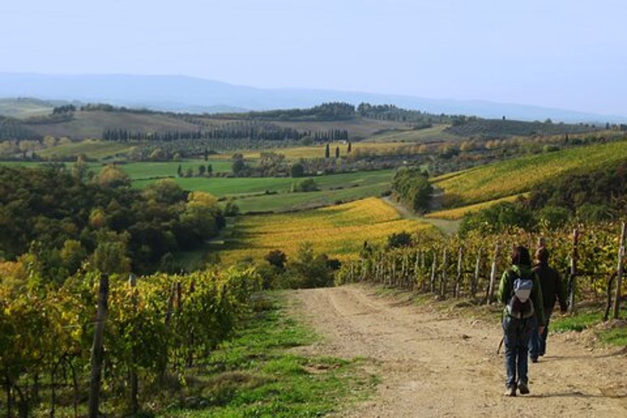 Escursione in Toscana da Siena con degustazione di vini