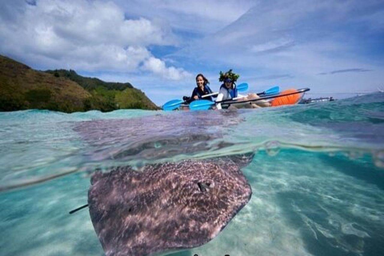 Escursione ecoguidata alla laguna di Moorea in kayak trasparente Pomeriggio 2h