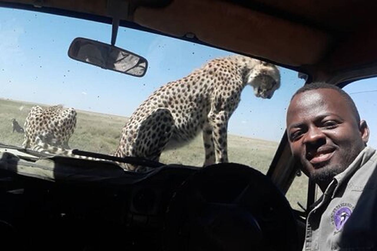 Safari in gruppo di 5 giorni in Tanzania, Tarangire/Serengeti/Ngorongoro Crater
