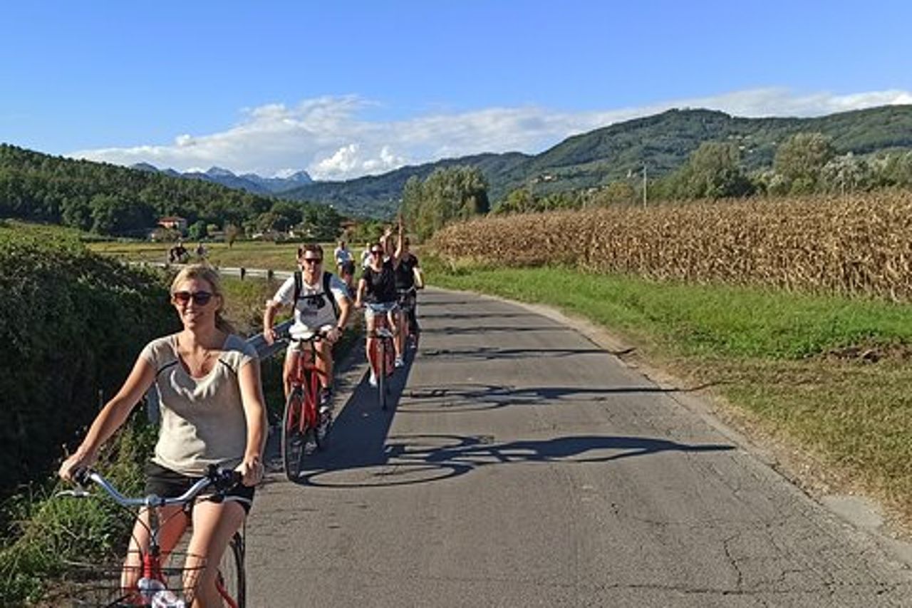Giro in bicicletta e degustazione di vini