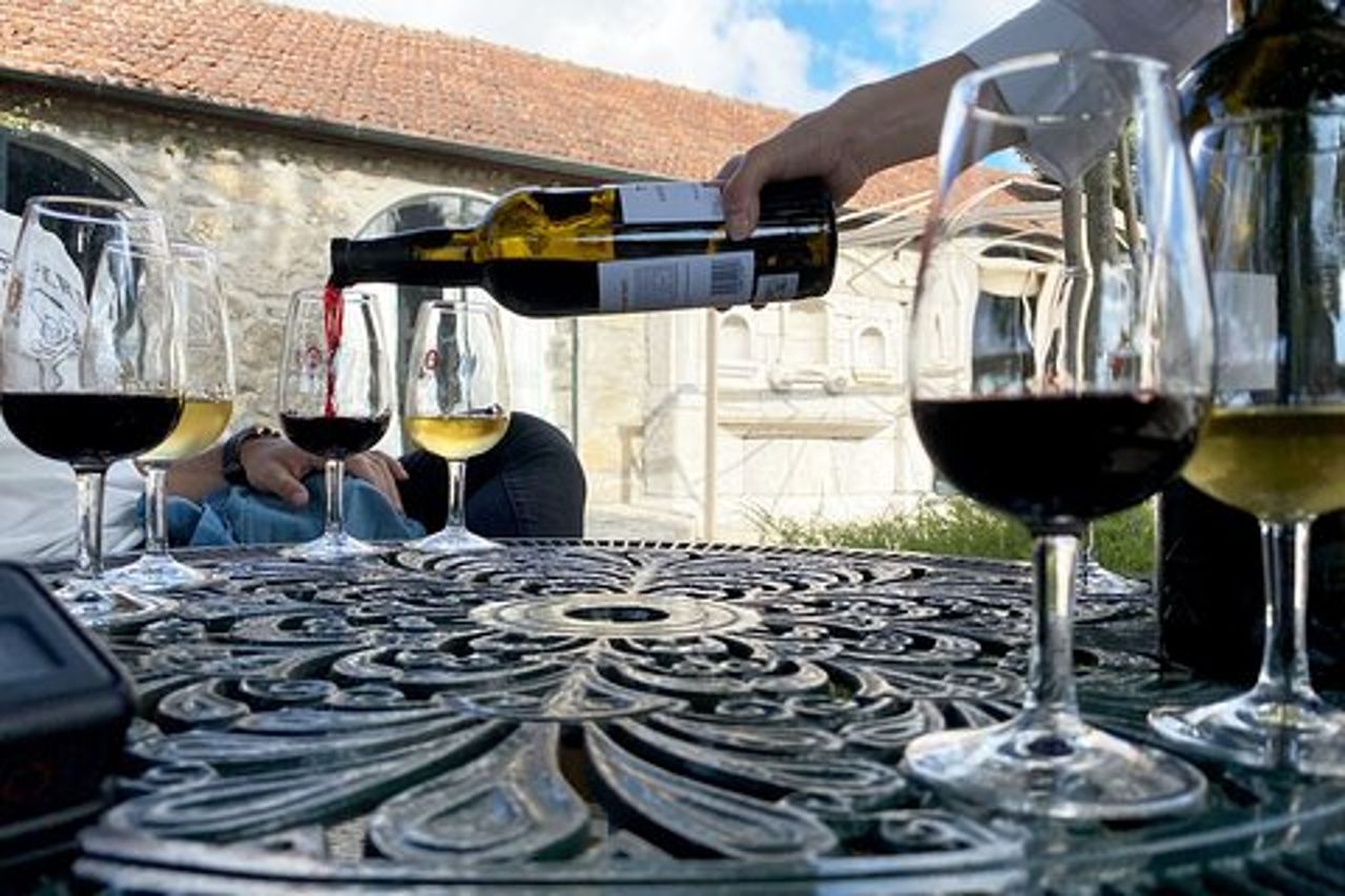 Degustazione di vini con tour a piedi di tapas a Porto