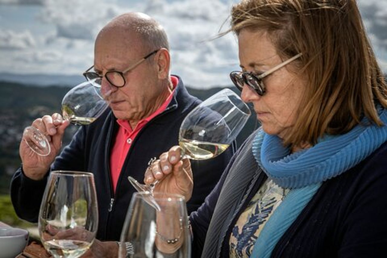 Selezione Degustazione | Quinta de Santa Cristina Vinho Verde